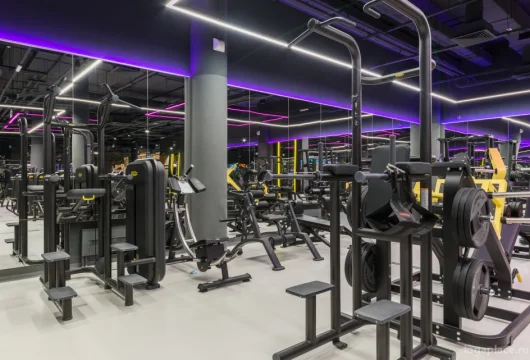 фитнес-клуб ddx fitness софия на сиреневом бульваре фото 15 - iogaplace.ru