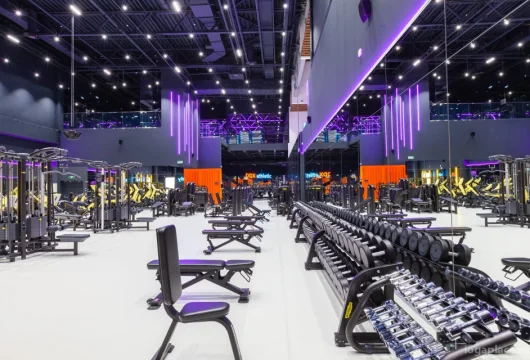 фитнес-клуб ddx fitness бирюсинка на булатниковской улице фото 2 - iogaplace.ru