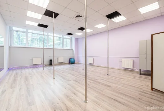 студия фитнеса и танцев атмосфера фото 11 - iogaplace.ru