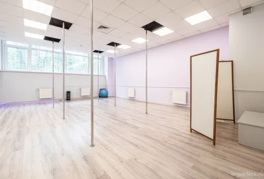 студия фитнеса и танцев атмосфера фото 15 - iogaplace.ru