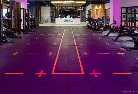 фитнес-клуб ddx fitness мытищи на улице мира фото 5 - iogaplace.ru