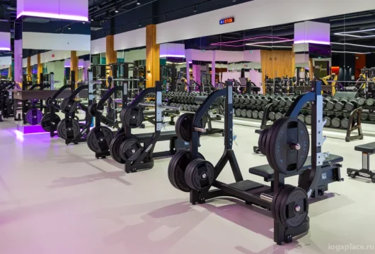 фитнес-клуб ddx fitness мытищи на улице мира фото 17 - iogaplace.ru