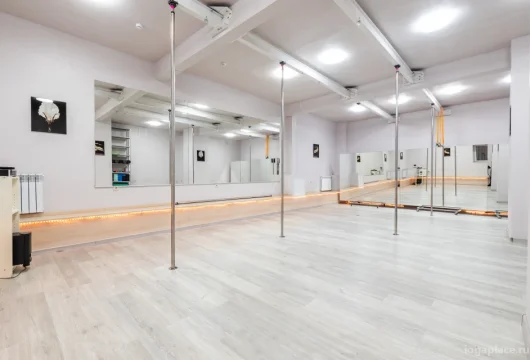 студия ivory dance фото 18 - iogaplace.ru