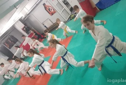 спортивный клуб медведь на бескудниковском бульваре фото 5 - iogaplace.ru