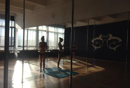 студия танцев, йоги и фитнеса shark pole studio фото 4 - iogaplace.ru