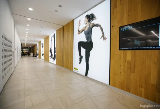 фитнес-клуб ddx fitness бутово фото 15 - iogaplace.ru