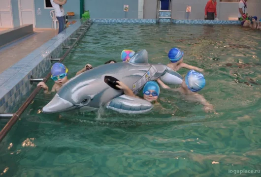 детский оздоровительно-образовательный центр дельфин фото 1 - iogaplace.ru