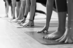 студия йоги на беговой фото 2 - iogaplace.ru