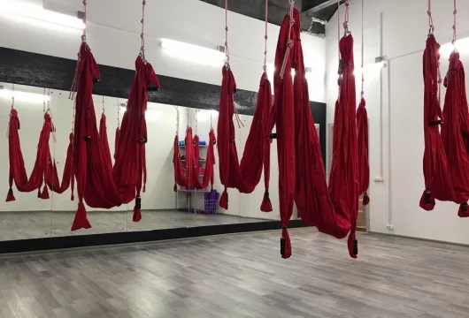 студия танцев и воздушной гимнастики you can dance studio фото 5 - iogaplace.ru