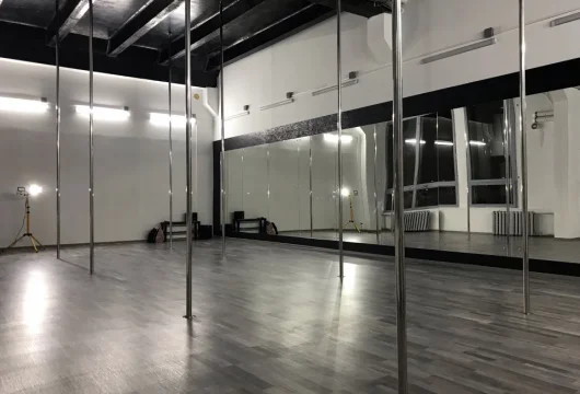 студия танцев и воздушной гимнастики you can dance studio фото 4 - iogaplace.ru