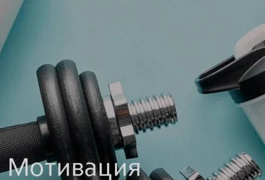 фитнес-клуб fitnesson на улице строителей фото 3 - iogaplace.ru