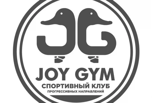 гимнастический центр joy gym фото 7 - iogaplace.ru
