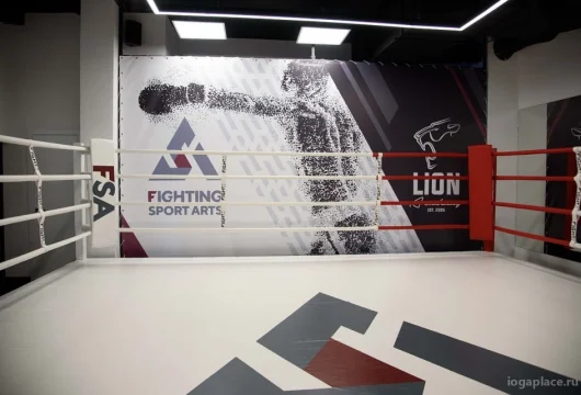 спортивный клуб fighting sport arts фото 2 - iogaplace.ru