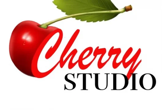 студия танцев cherry studio фото 2 - iogaplace.ru