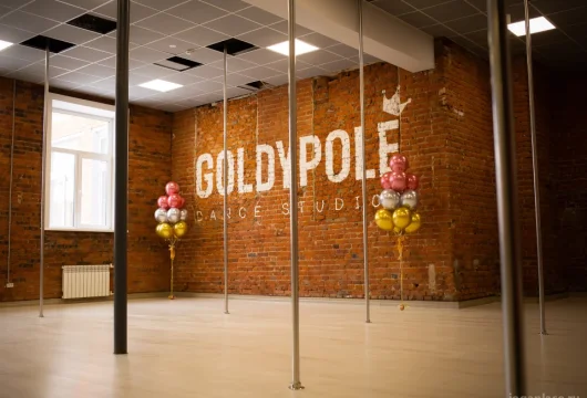 студия танца goldypole на советской улице фото 3 - iogaplace.ru