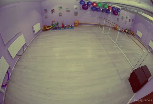 детский спортивно-оздоровительный центр алекса фото 3 - iogaplace.ru