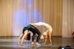 школа танцев danzart  - iogaplace.ru